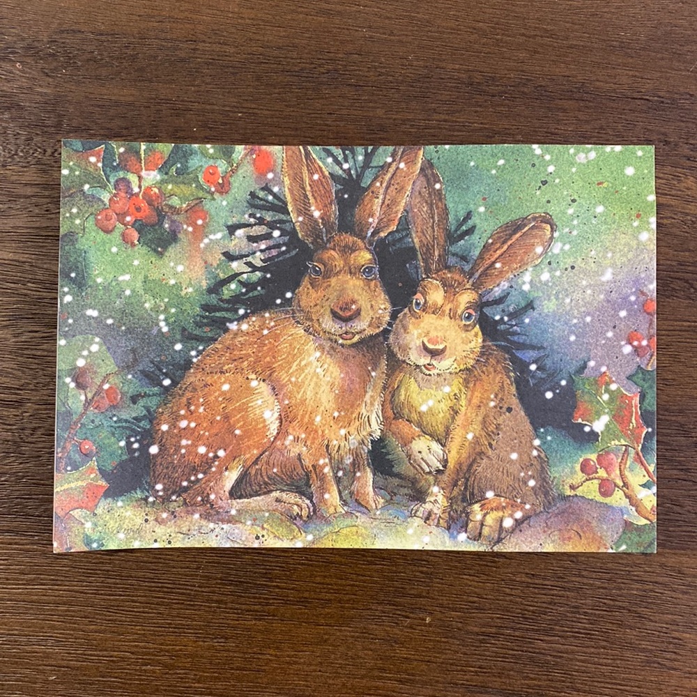 20 Embossed Fun In The Snow Winter Rabbit Christmas Cards with Envelopes